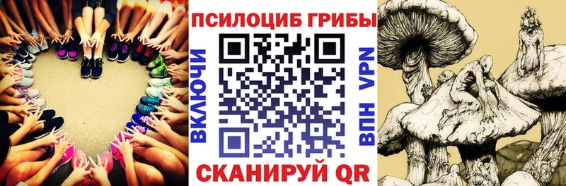 Псилоцибиновые грибы прущие грибы  hydra ССЫЛКА  Луза 